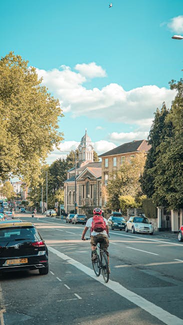 A cyclist wearing a red backpack and helmet is riding a bicycle along a wide street with parked cars on both sides, in an urban area with mature trees lining the pavement. In the background, there is